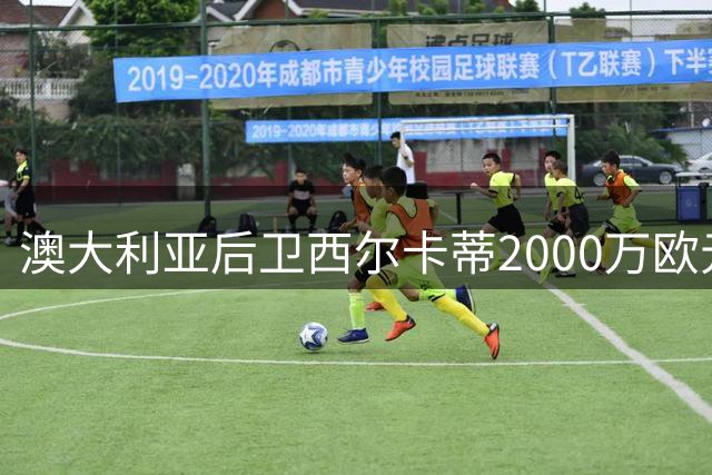 澳大利亚后卫西尔卡蒂2000万欧元转会本菲卡