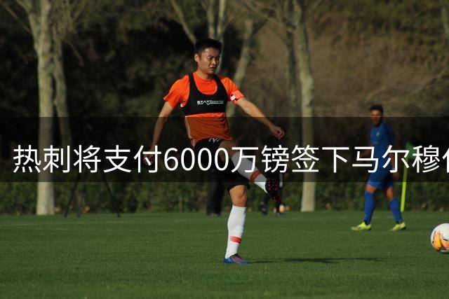 热刺将支付6000万镑签下马尔穆什 不含转售分成